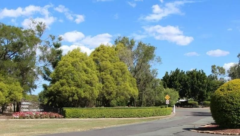 A park with trees and bushes on a sunny day