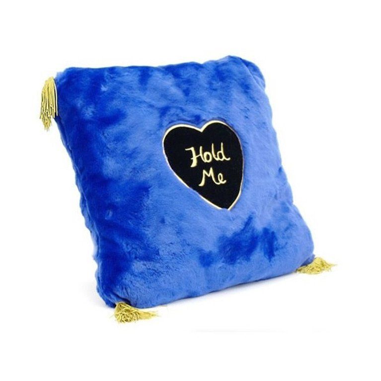 A blue pillow that says hold me on it