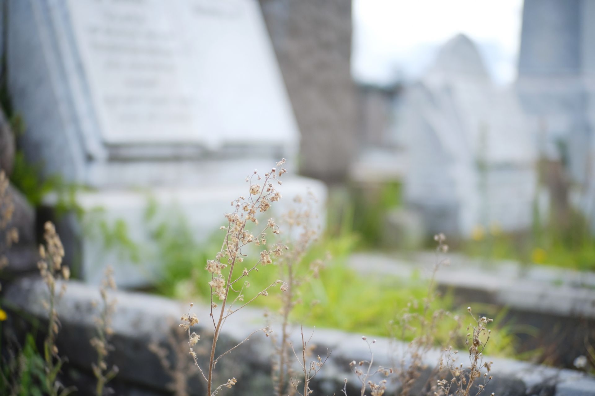 A cemetery with a lot of graves and grass growing out of them.