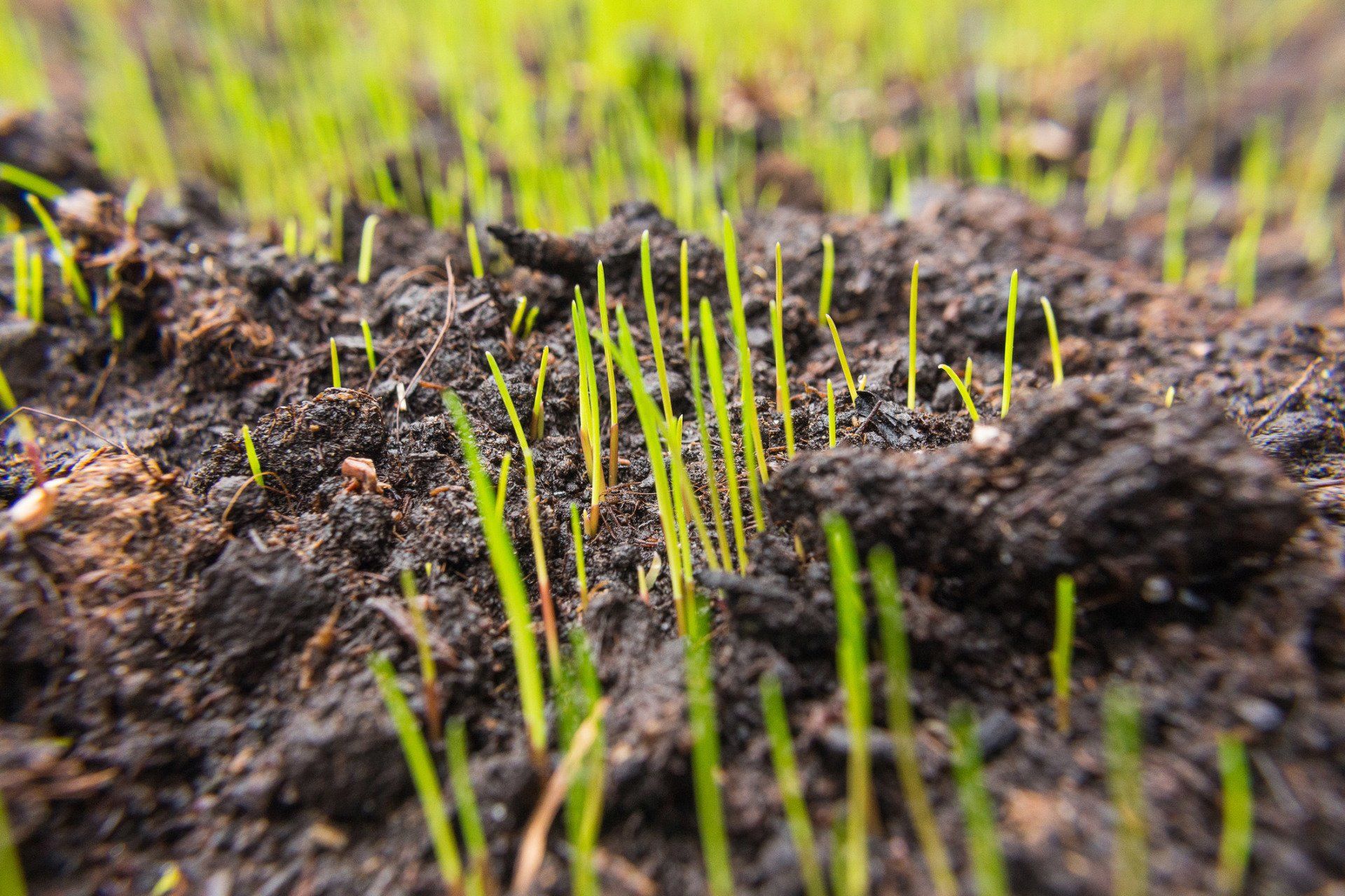 Topsoil — Garden Soil Layers in Poland, OH