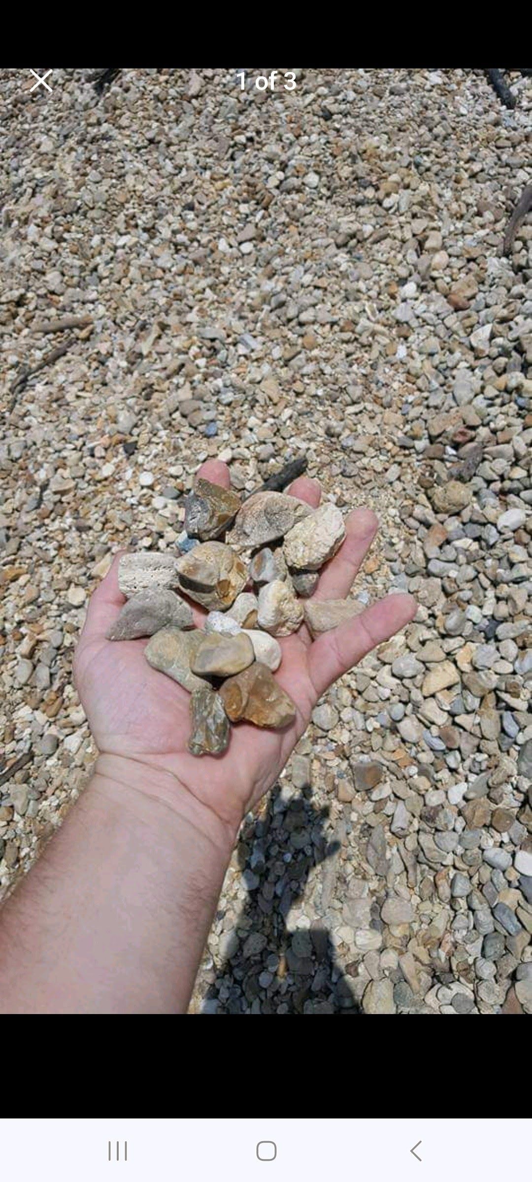 A person is holding a pile of rocks in their hand.