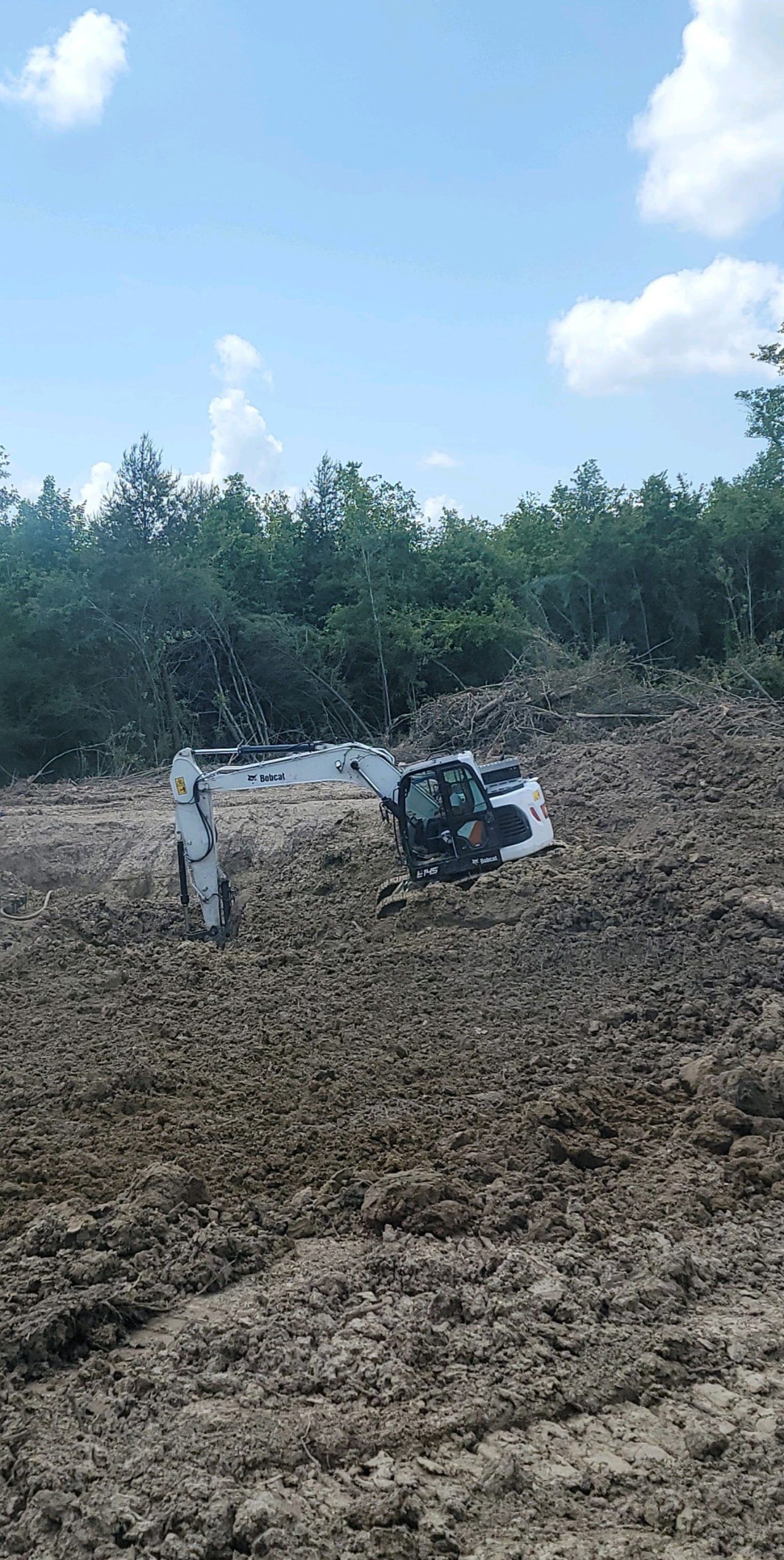 A cow is laying in the mud in a field.