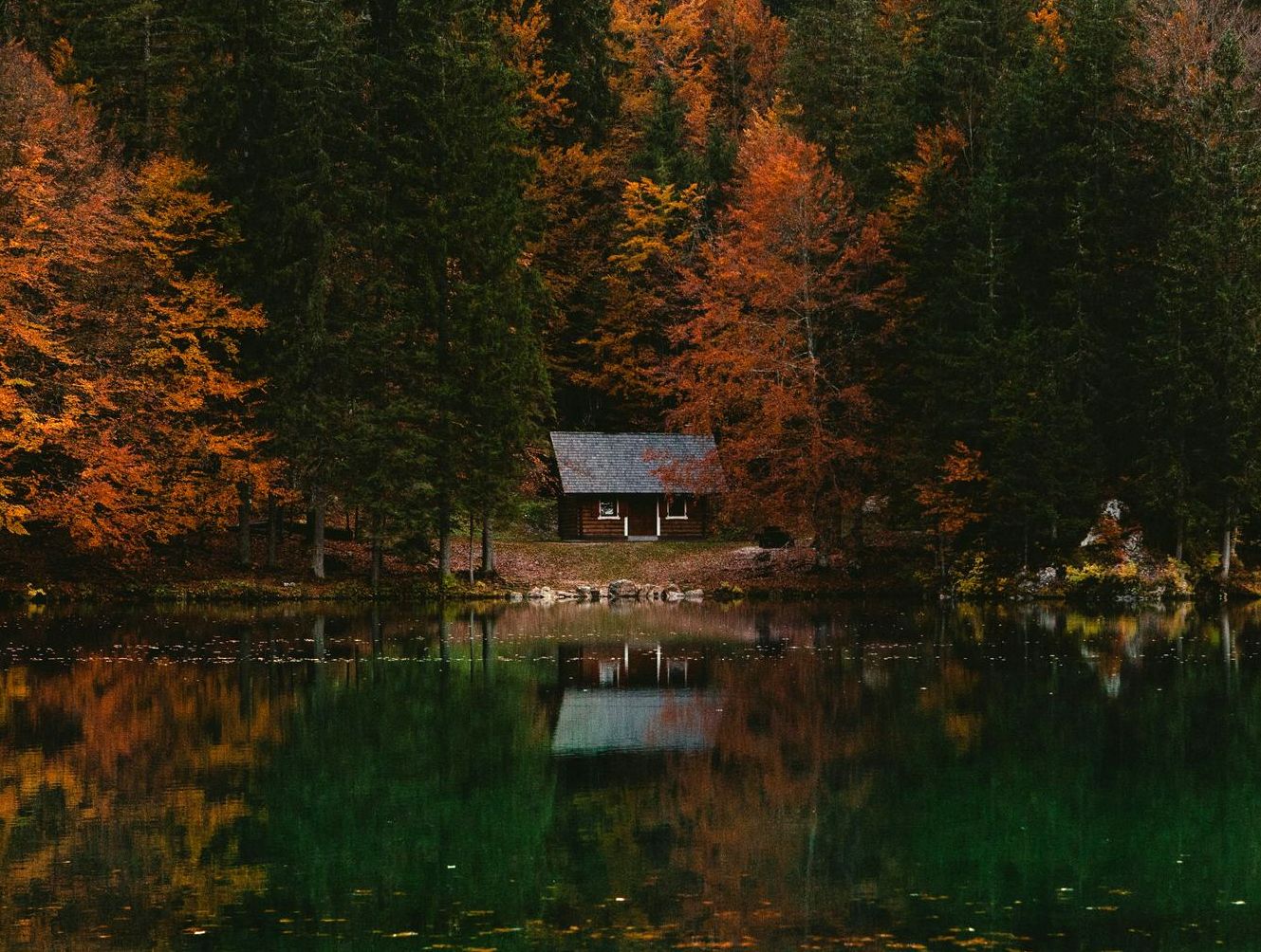 A white house is sitting in the middle of a grassy field surrounded by trees.