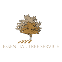Tree Removal hingham MA Customer holding company website and writing a review for company