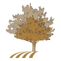 Tree Removal Halifax MA Company logo of tree