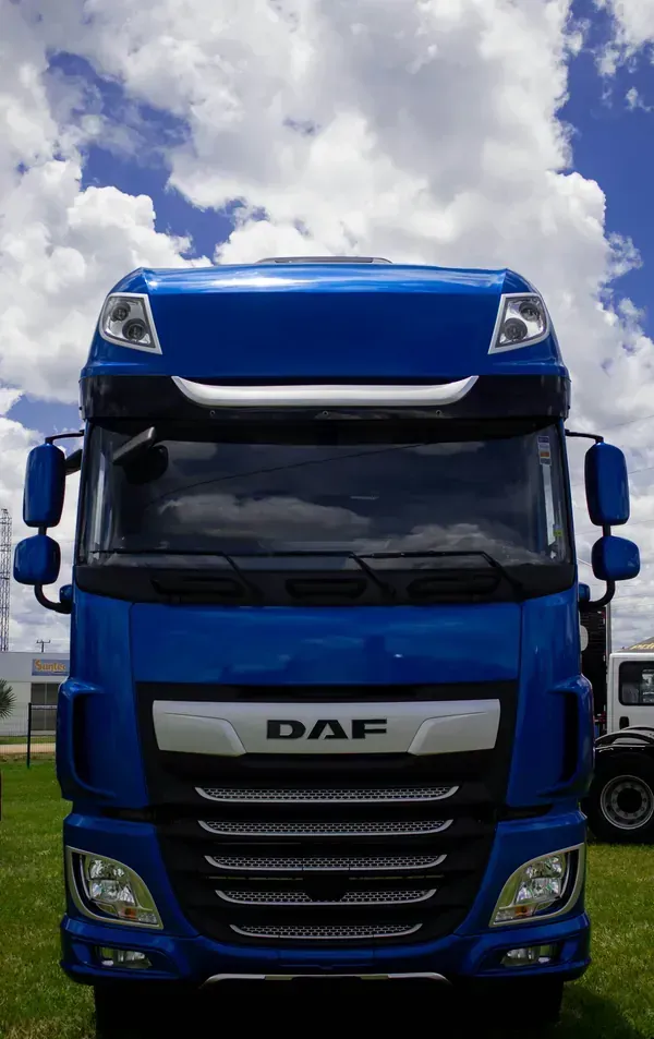 A blue DAF truck parked on grass under a cloudy blue sky.