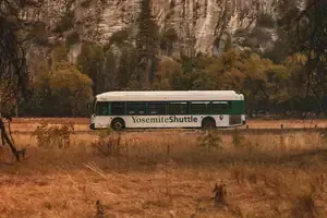 A white Yosemite Shuttle bus travels along a road through a grassy field with a rocky cliff in the background.
