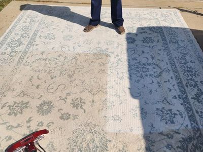 A man is standing on a rug that has been cleaned with a vacuum cleaner.