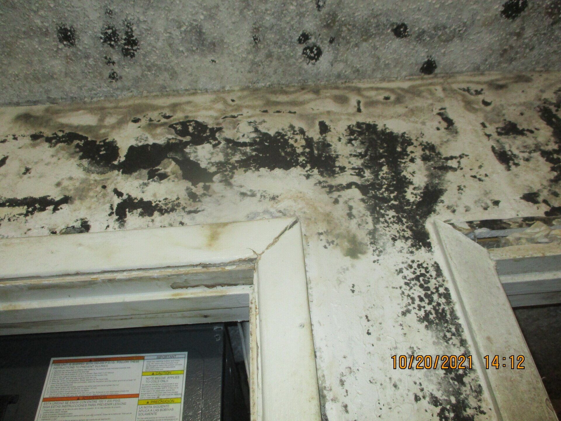 mold-remediation-in-charlotte-nc