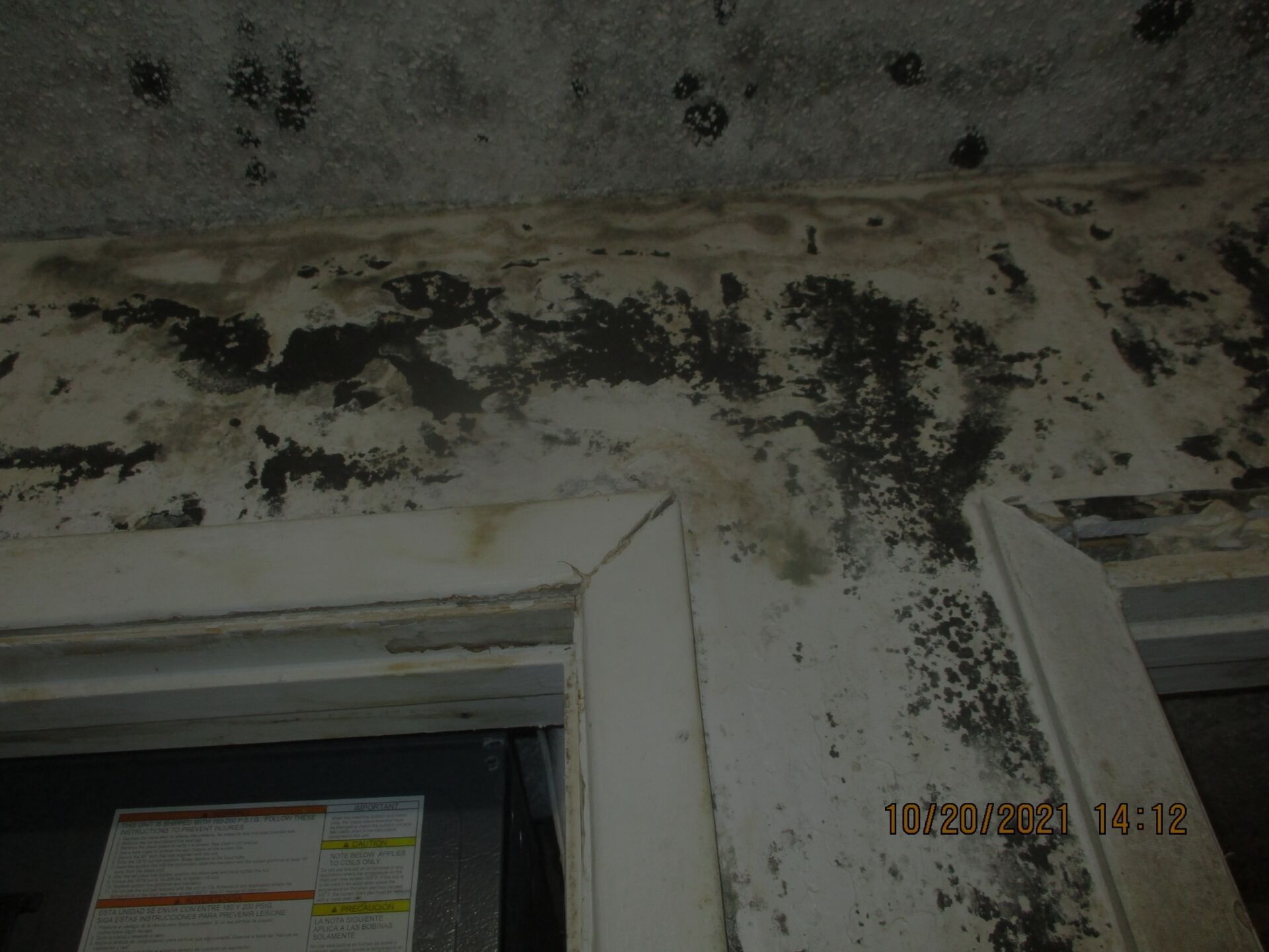 Mold Growth in the wall