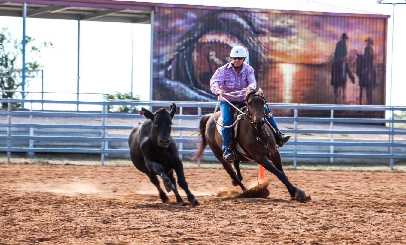 A Man Is Riding A Horse Next To A Cow In A Fenced In Area — Outback Auctions and Real Estate in Cloncurry, QLD