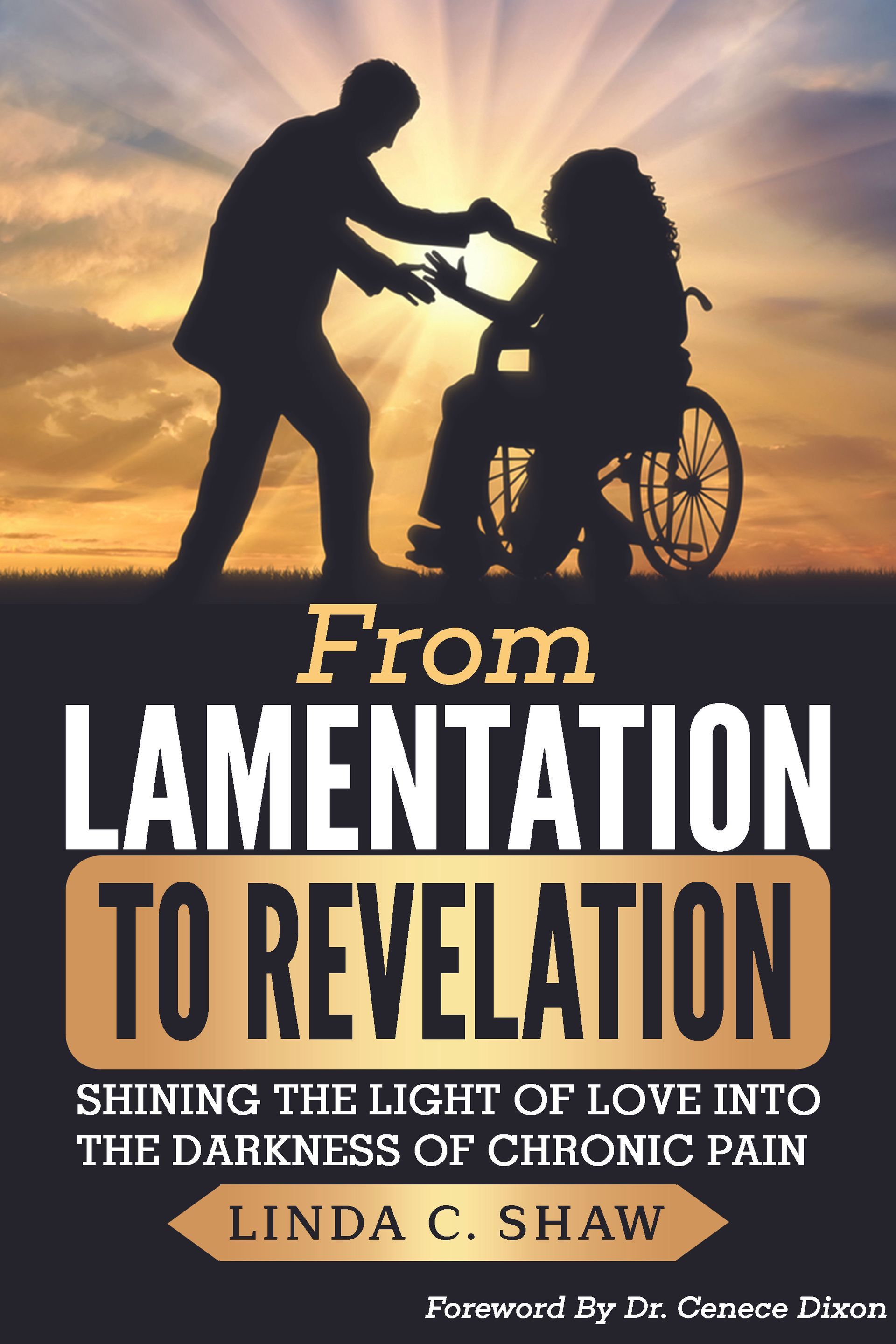 Book cover: Silhouette of person assisting someone in a wheelchair toward sunlight. Title: