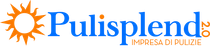 Logo Pulisplend 2.0