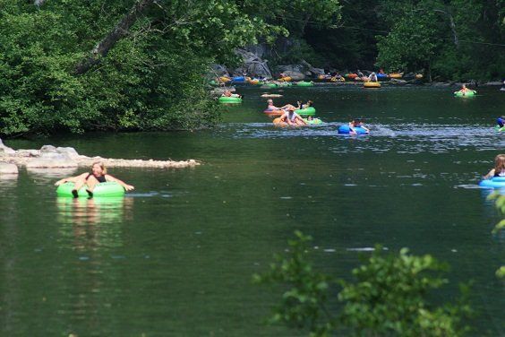 A group of people are floating on tubes in a lake.