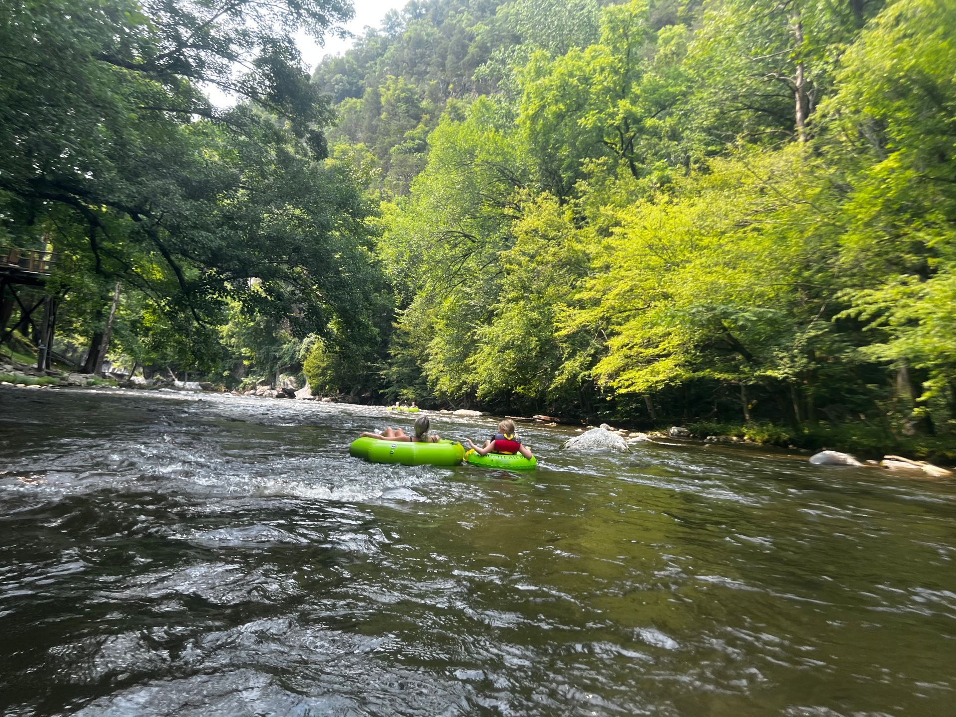 A person in a green kayak is paddling down a river surrounded by trees.