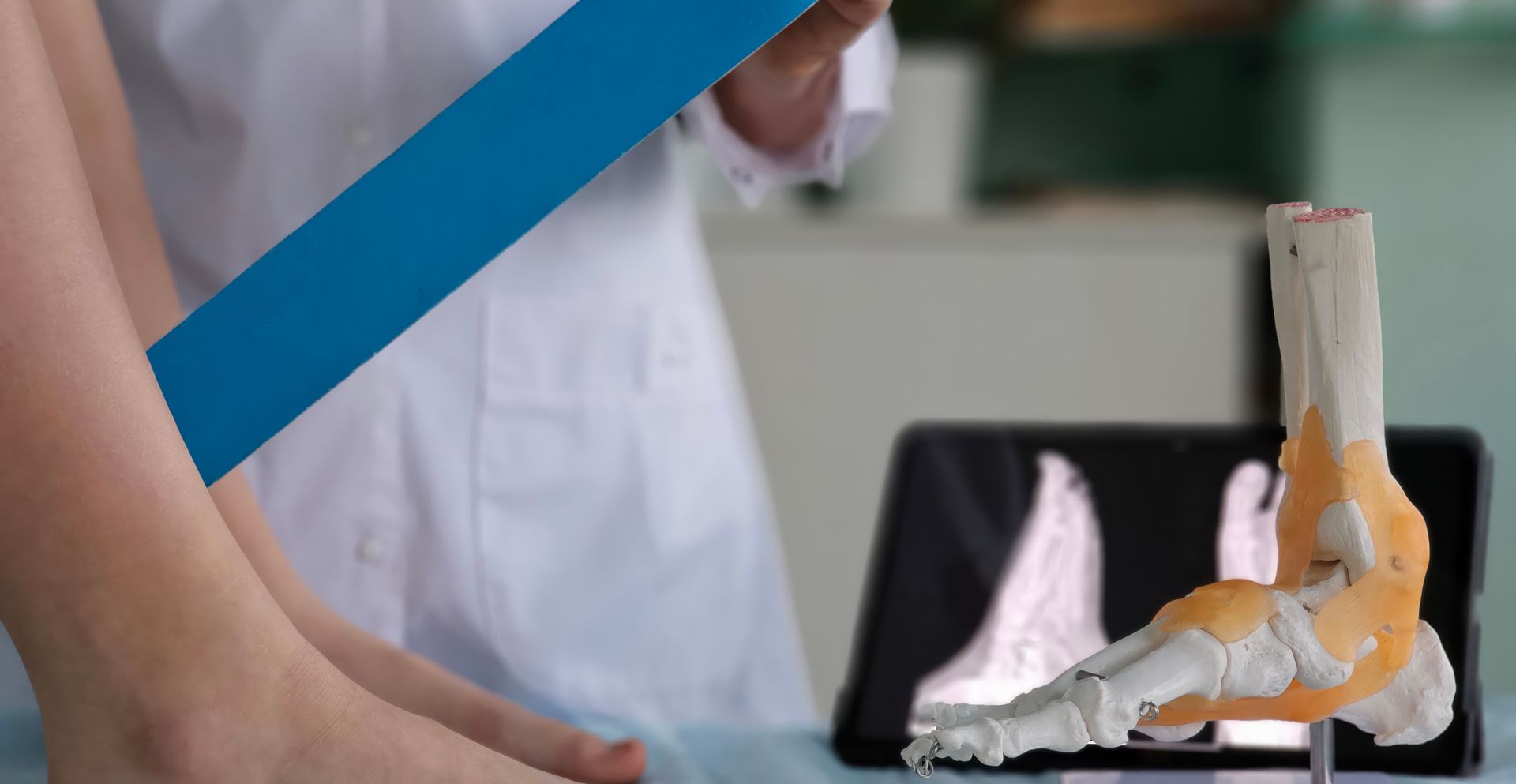 Person in a white coat examining a 3D ankle and foot model on a laptop in a clinical setting