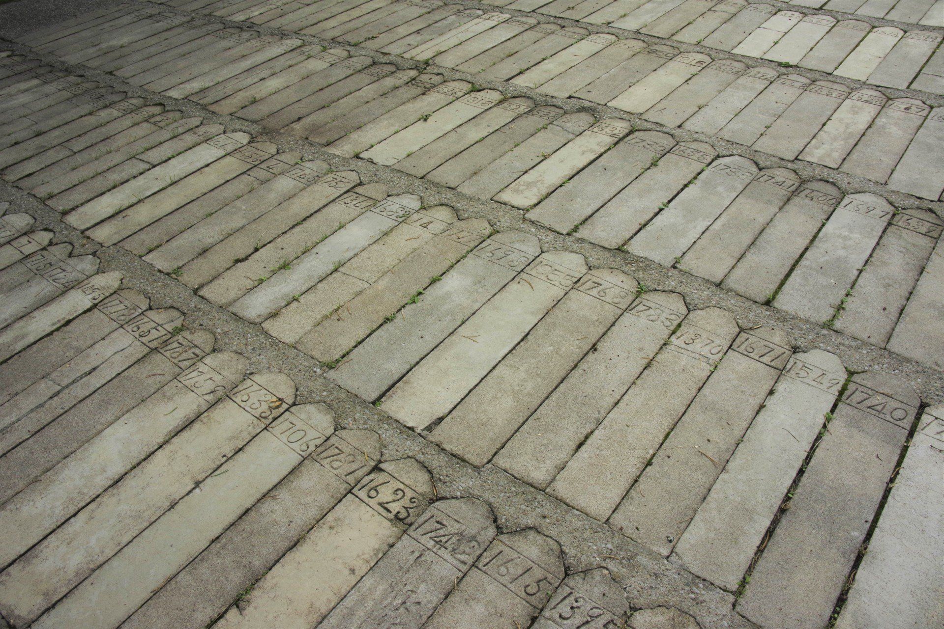 HRC Petal Stones in Cemetery