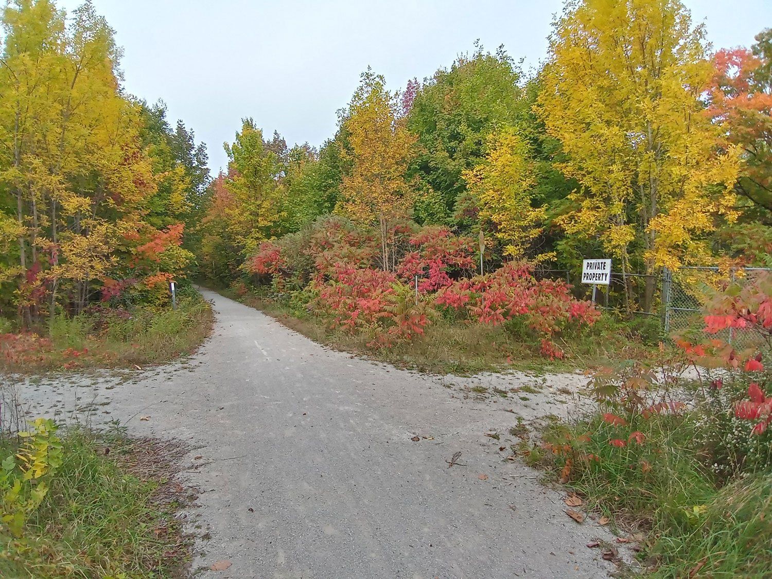The location of the Huronia Regional Centre’s private railway crossing as it appears today. The image shows a view looking north along a gravel path which was once the Canadian National Railway right of way. A dirt road crosses this path from left to right, with the institution being on the left and the beaches on the right. A gate and chain link fence, installed in the later days of the institution’s operation, is visible on the right side of the image, along with a “private property” sign. The area is heavily overgrown with trees and underbrush, but would have been more open in 1933. The train that struck the coal truck was traveling south, toward the camera.