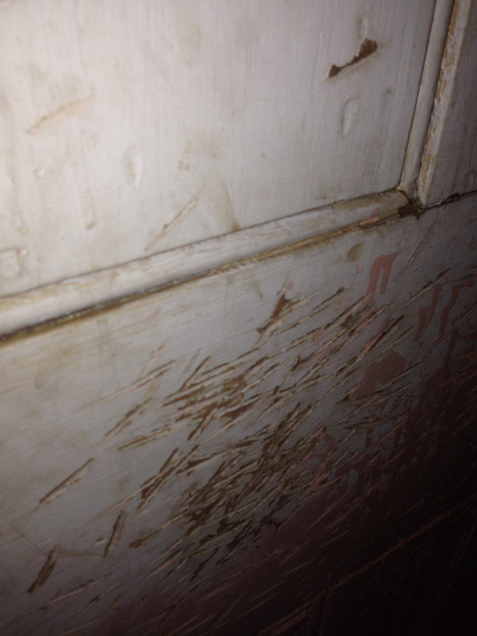 Three images of a pipe room in Cottage K. The first image shows HRC survivors Marie Slark (left) and Pat Seth (right) in an empty dormitory. Pat is standing in the doorway of the pipe room and Marie is standing behind her. In the foreground is an old-fashioned radiator and above that is a bulletin board. Pinned onto the bulletin board are the words “Smile you’re in TV (Terrace View) 3/4.” The second image shows the inside of the pipe room, a narrow space with pipes running along each wall. The left wall is covered in brown tiles, although several of these have been broken off, and the right wall is bare cinderblock. The floor is dirty and covered in garbage. The third image shows the backside of the pipe room door. It is a wooden door painted dark gray and countless deep scratches are dug into its surface.
