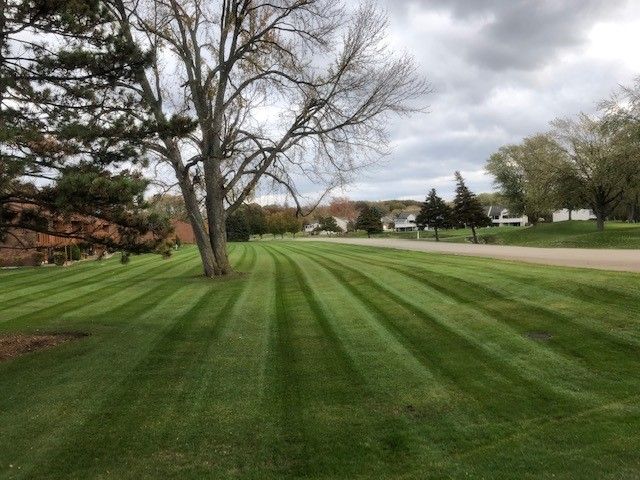 Lawn Care and Lanscaping Services 