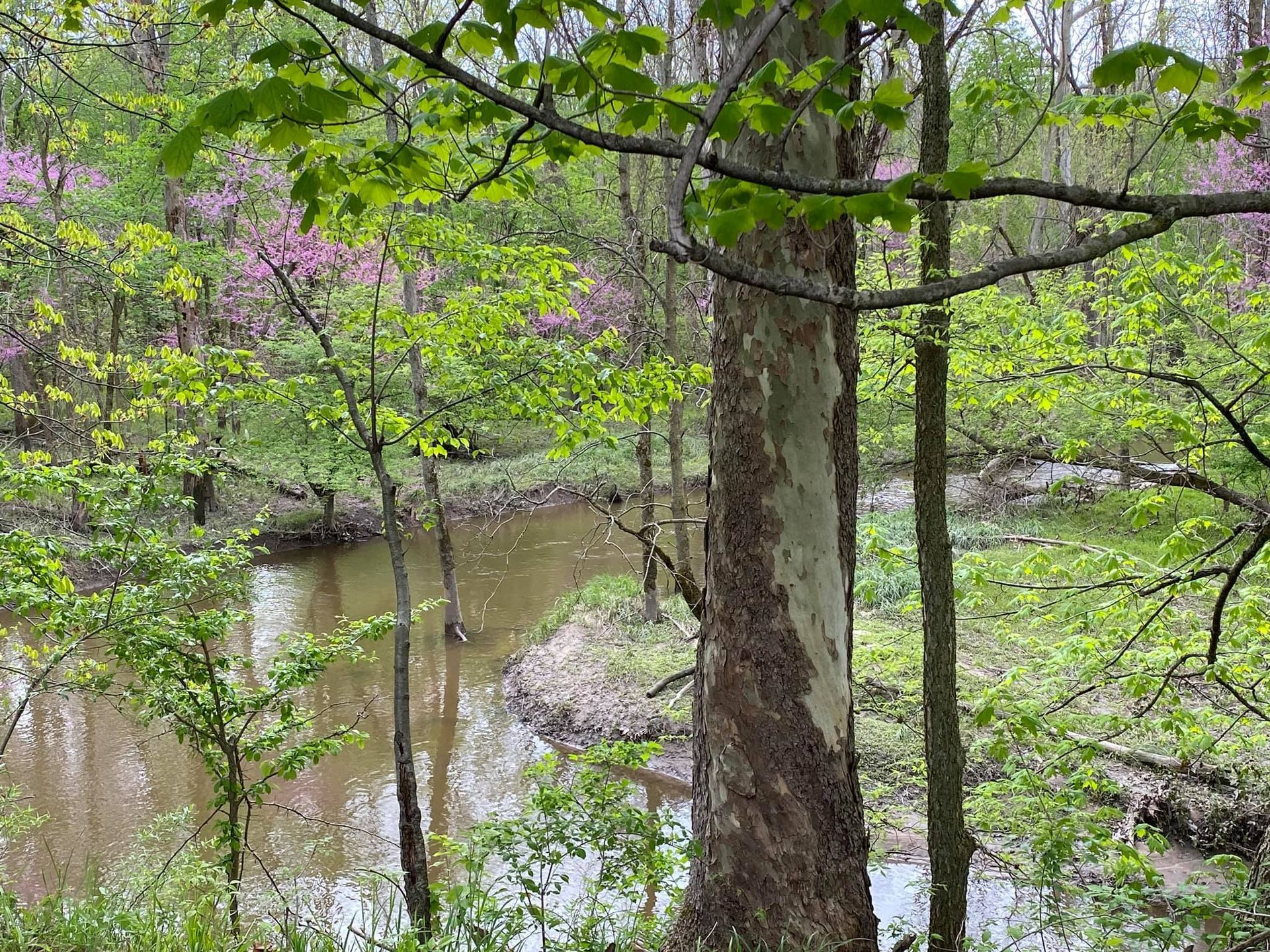 Lawn Care and Lanscaping Services 