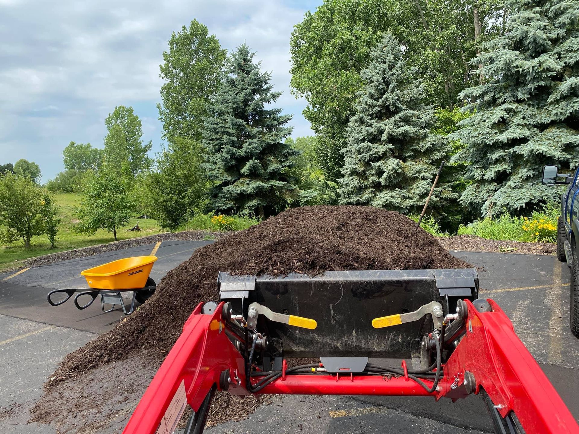 Lawn Care and Lanscaping Services 