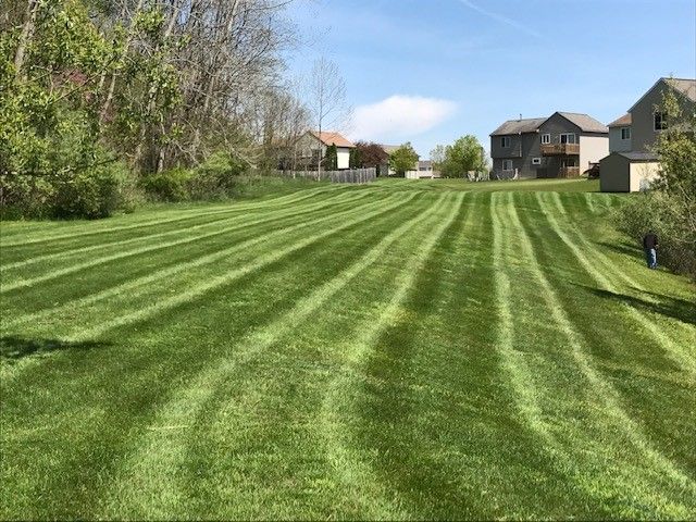 Lawn Care and Lanscaping Services 