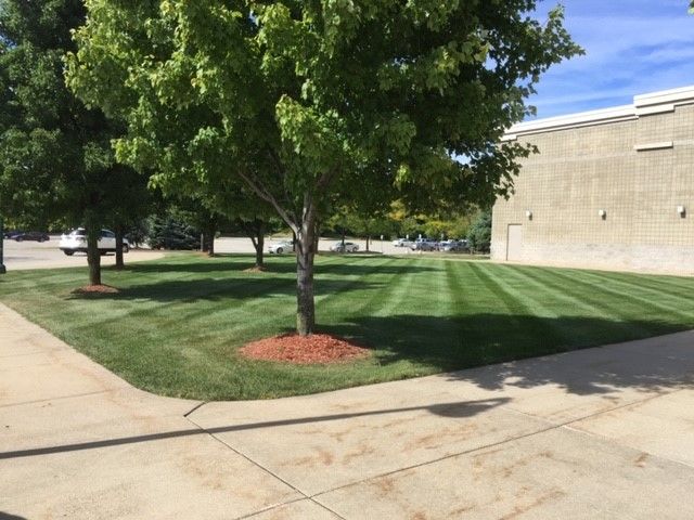 Lawn Care and Lanscaping Services 