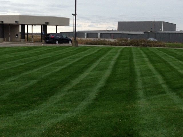 Lawn Care and Lanscaping Services 