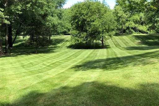 Lawn Care and Lanscaping Services 