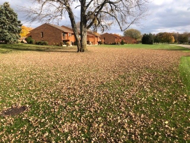 Lawn Care and Lanscaping Services 