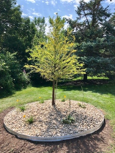 Lawn Care and Lanscaping Services 