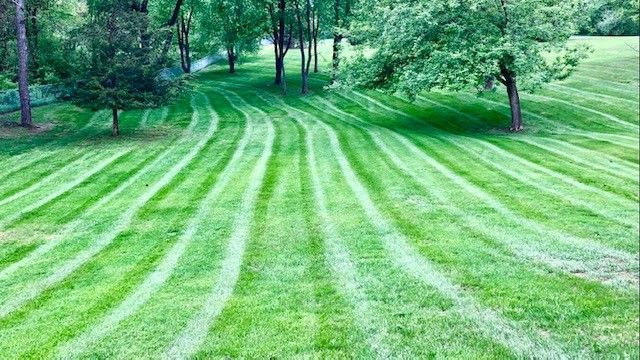 Lawn Care and Lanscaping Services 