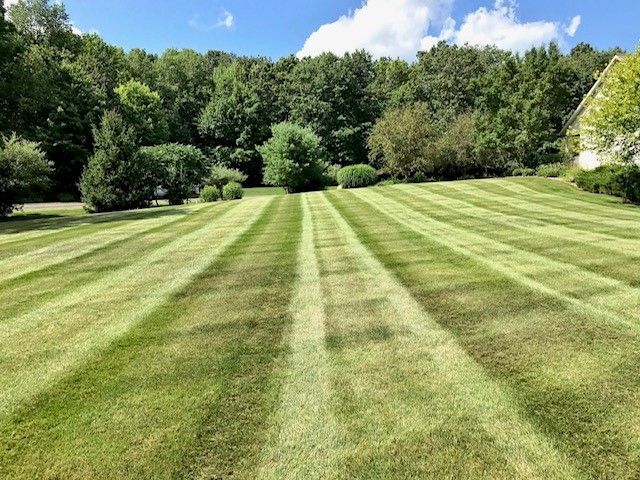 Lawn Care and Lanscaping Services 