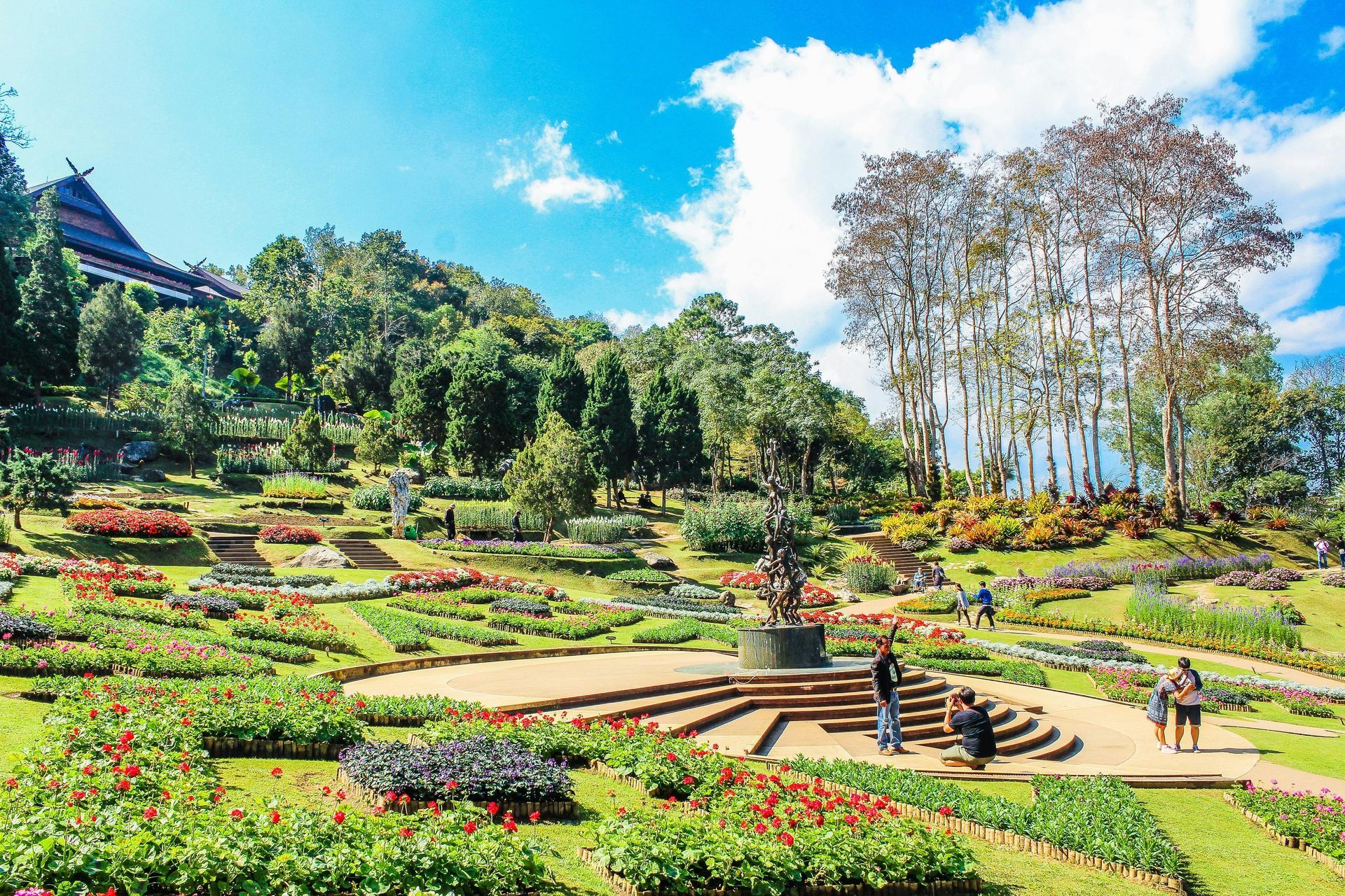 A park filled with lots of flowers and trees on a sunny day.