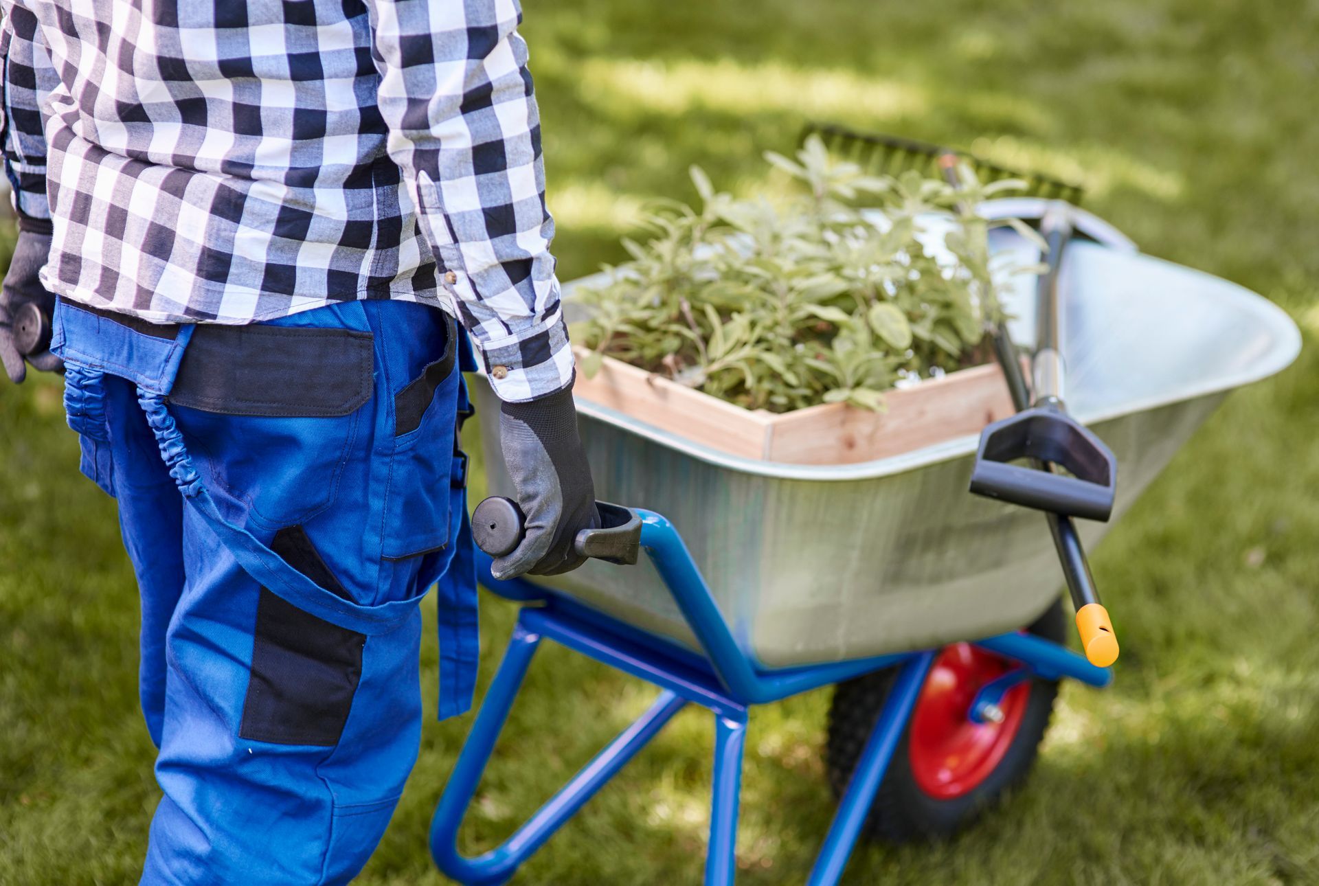 landscaping company in Forest Hills, MI