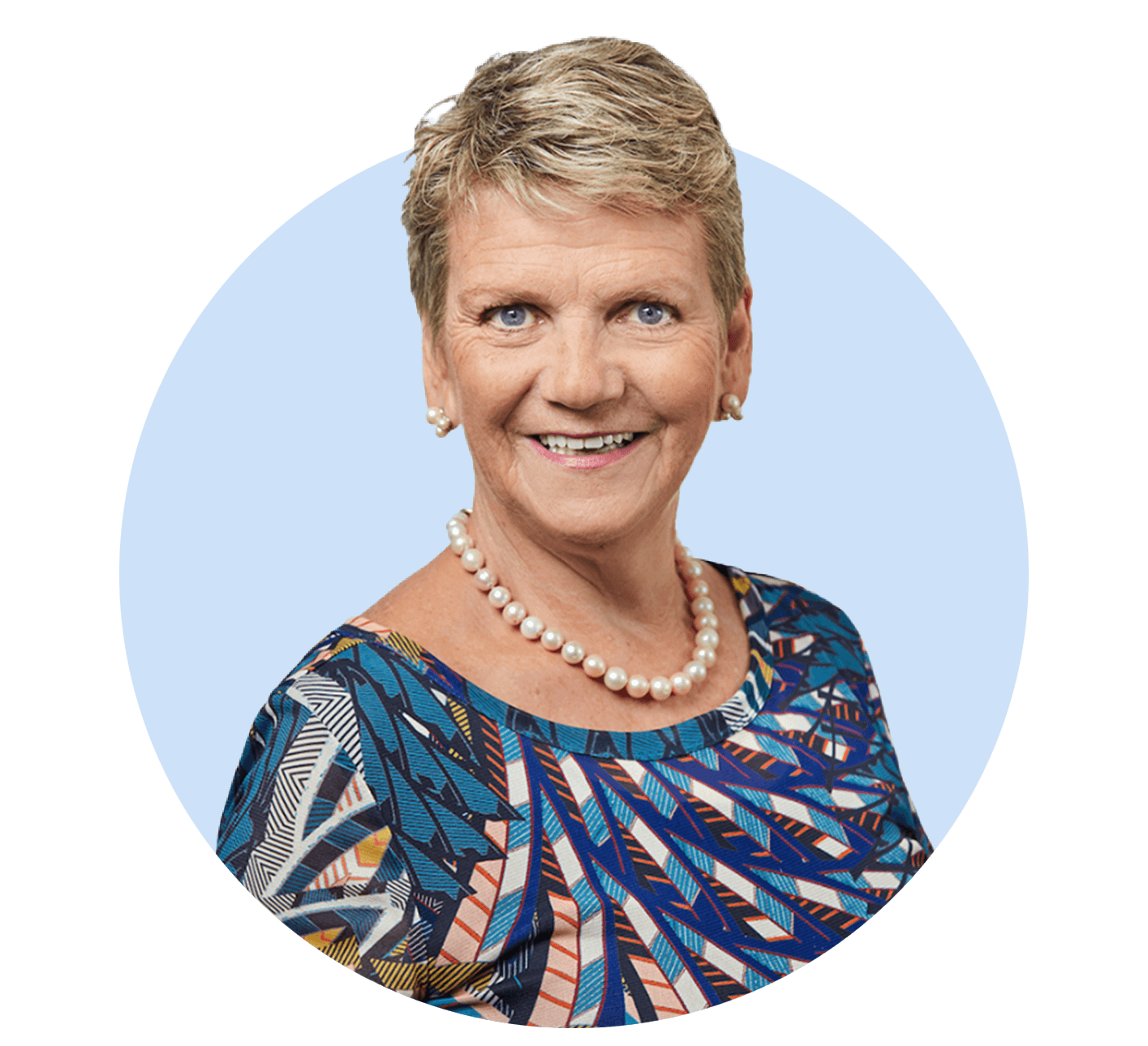 Sue Renkin – SEMPHN's Chair