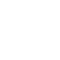 Professional Insurance Agent