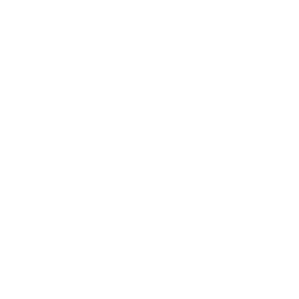 Professional Insurance Agent