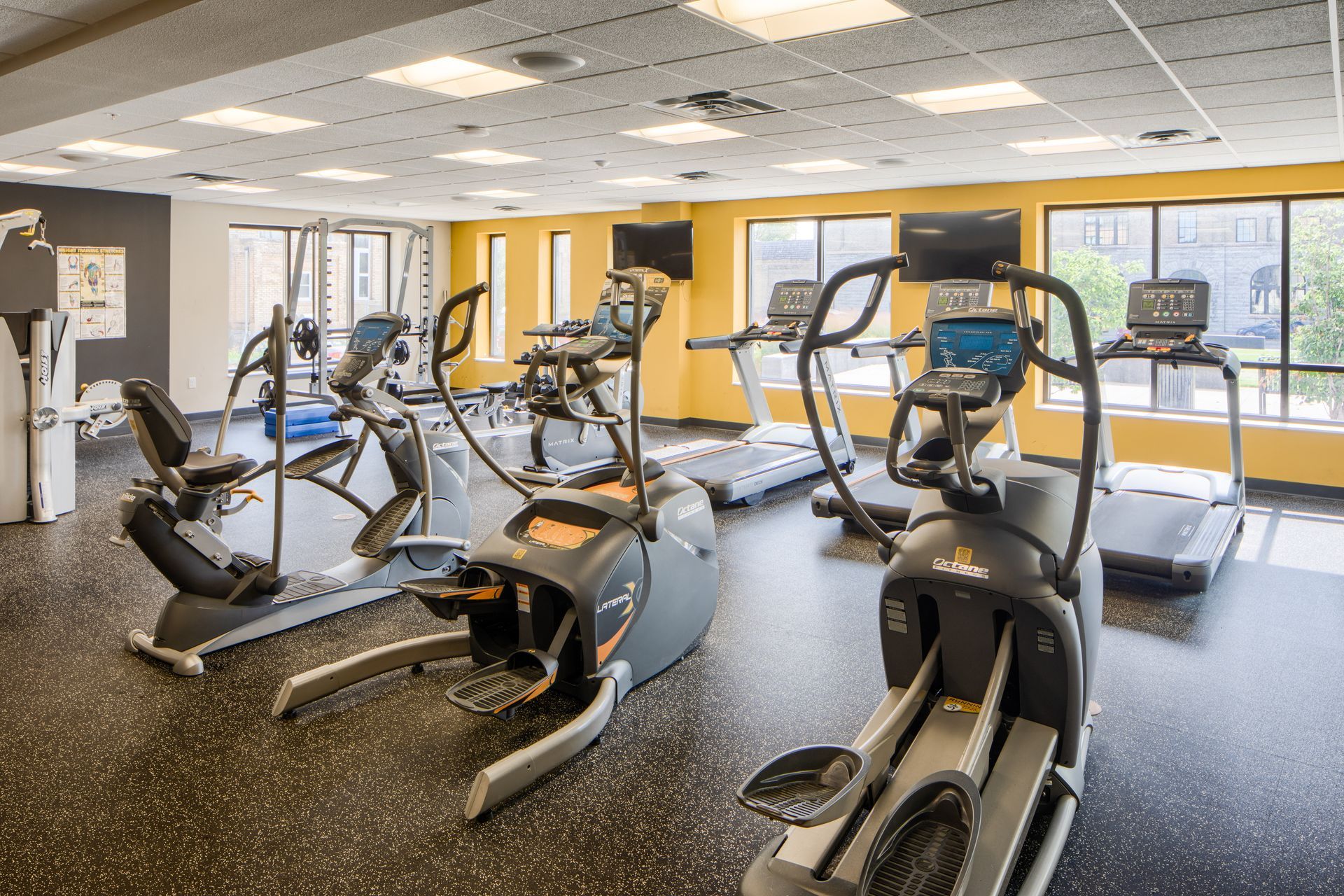 Gym with exercise equipment, including elliptical machines, treadmills, and stationary bikes. Black flooring and yellow walls.