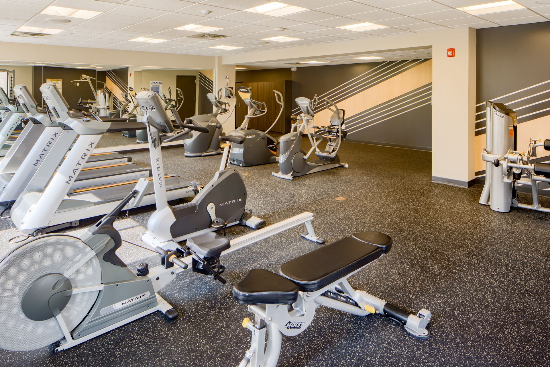 Gym interior with exercise machines: treadmills, rowers, elliptical, weight bench, mirrors, gray and black floor.