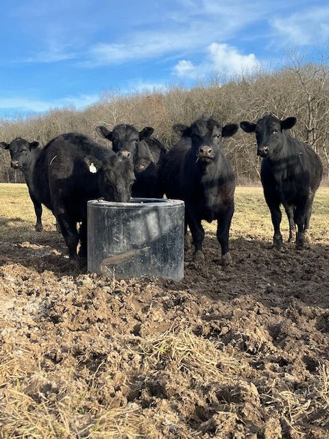 White truck with drilling rig on a grassy field under a blue sky with fluffy clouds.