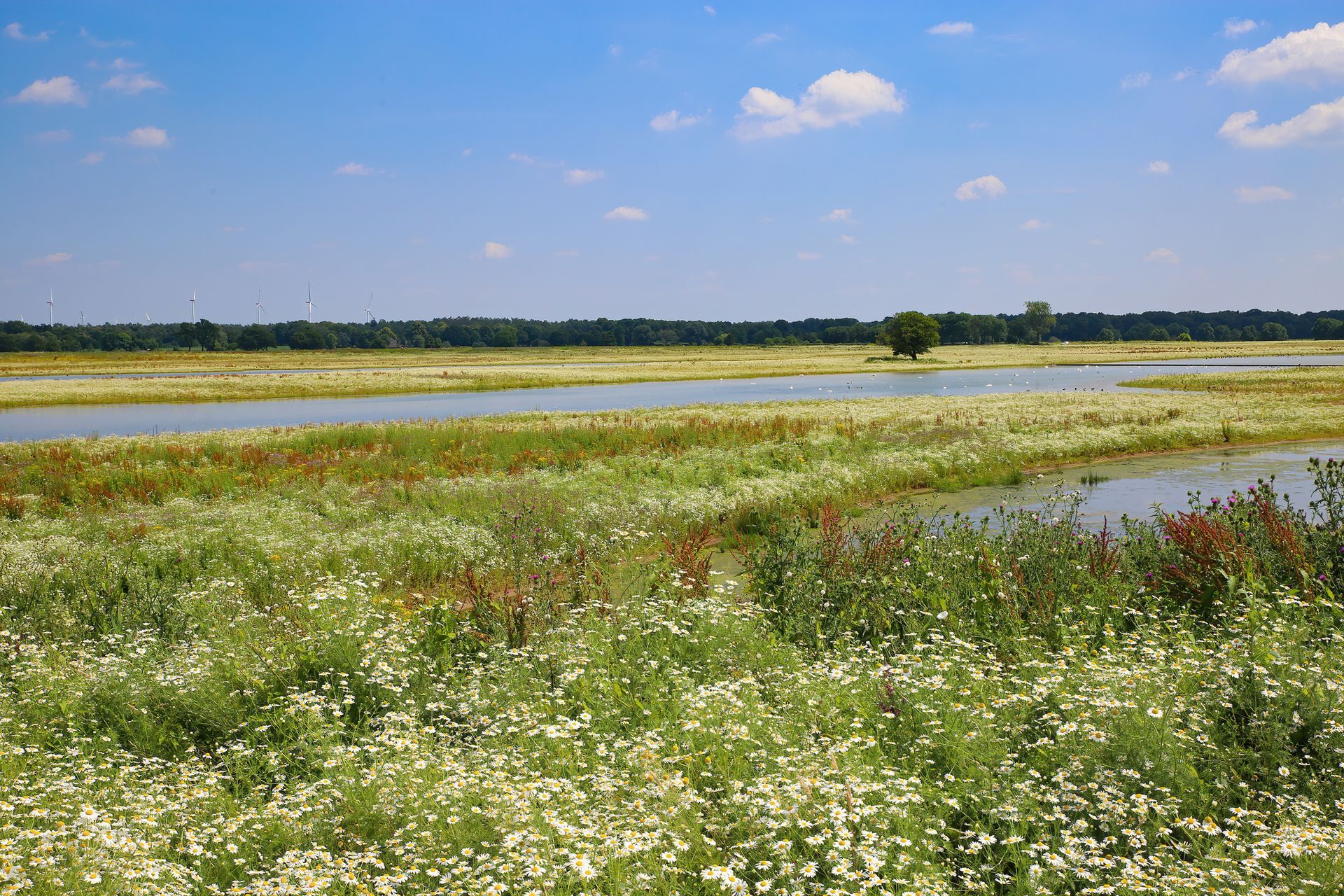 Alluvial Irrigation Well Land