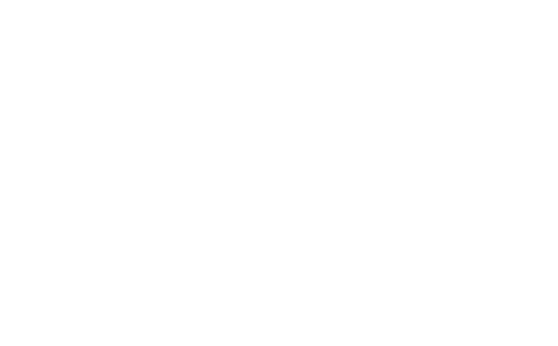 SOAR Management Logo