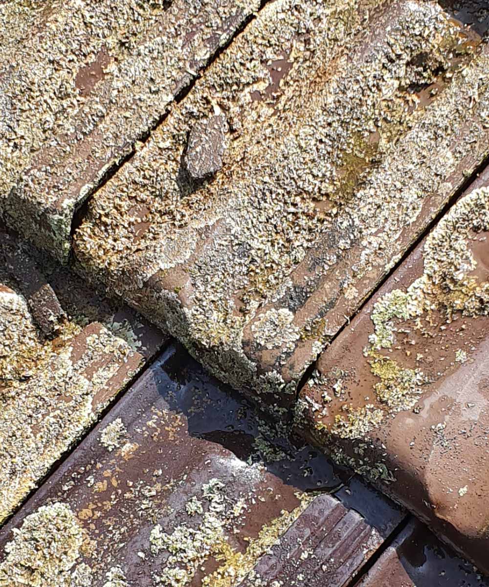 Hoppers Roofing image 05