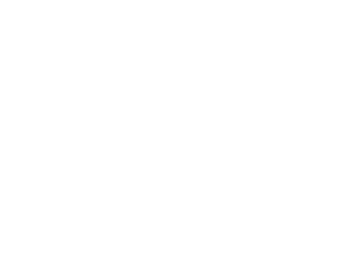 Zarate Deliveries Logo