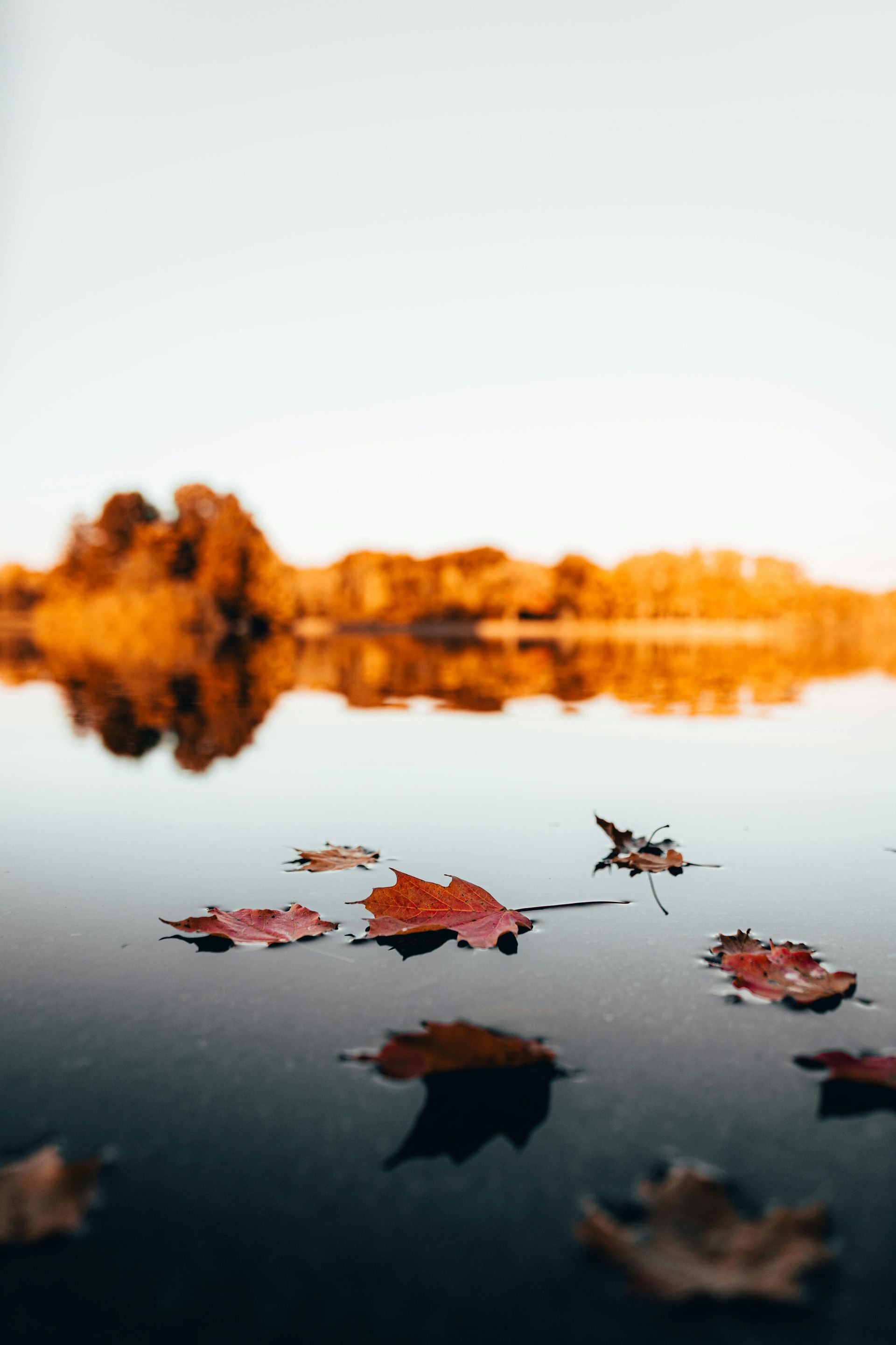 fall