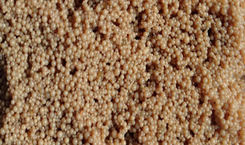 COMERCIAL E INDUSTRIAL LA AURORA S.A. DE C.V