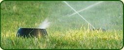 Sprinkler System — Lane County, OR — Pacific Ag Systems Inc