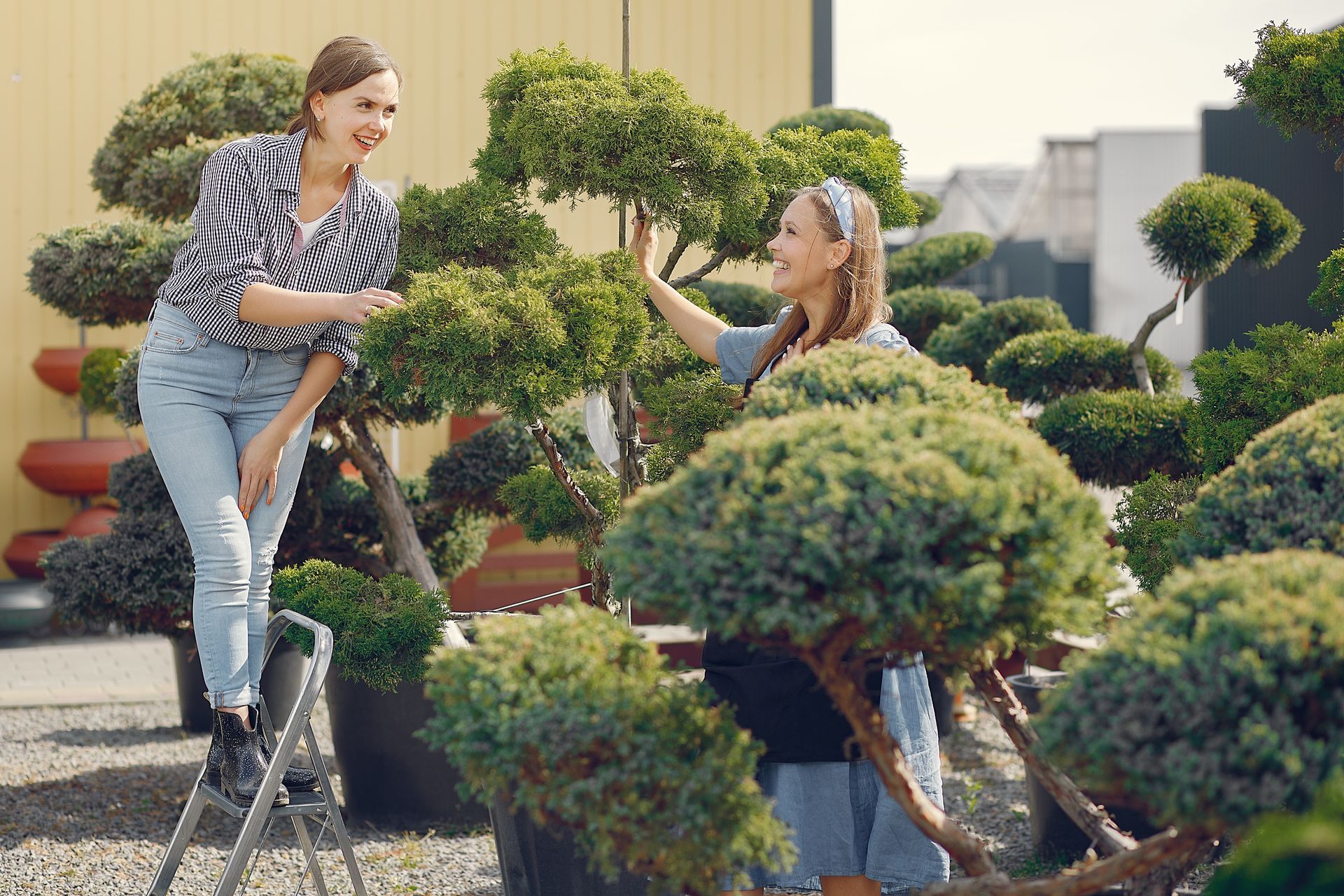 Two women are working on a tree in a garden.